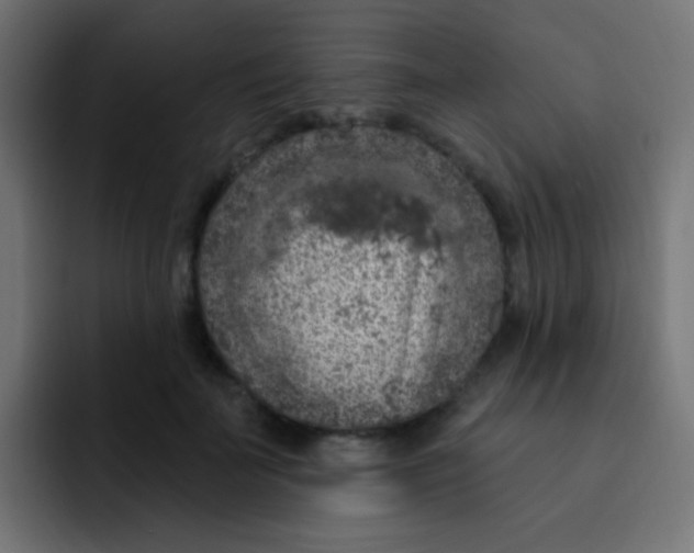 X0000092030699200710041101