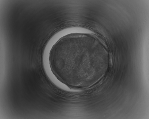 X0000092030700200710041101