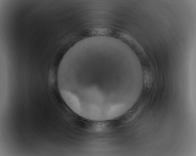 X0000092030701200710041101