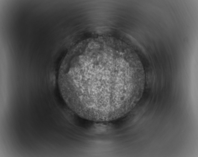 X0000092030703200710041101