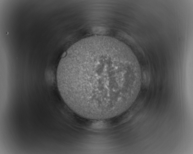 X0000092030705200710041101