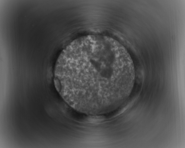 X0000092030707200710041101