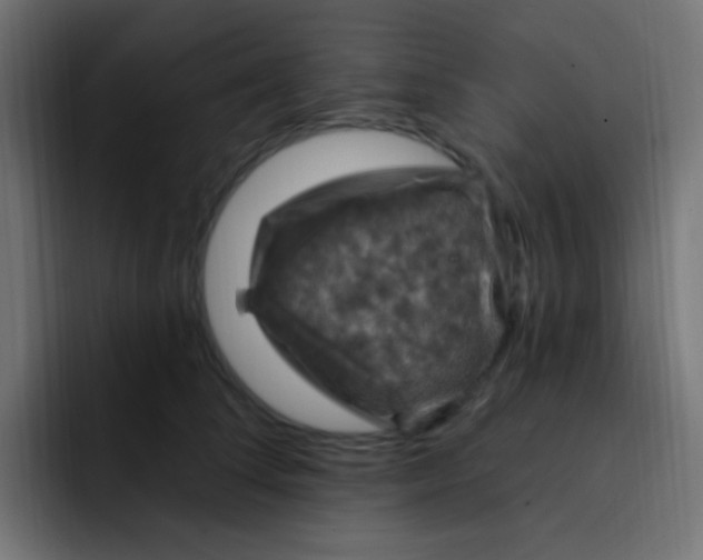 X0000092030708200710041101