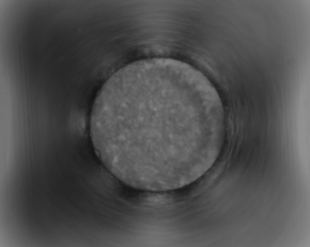 X0000092030709200710041101