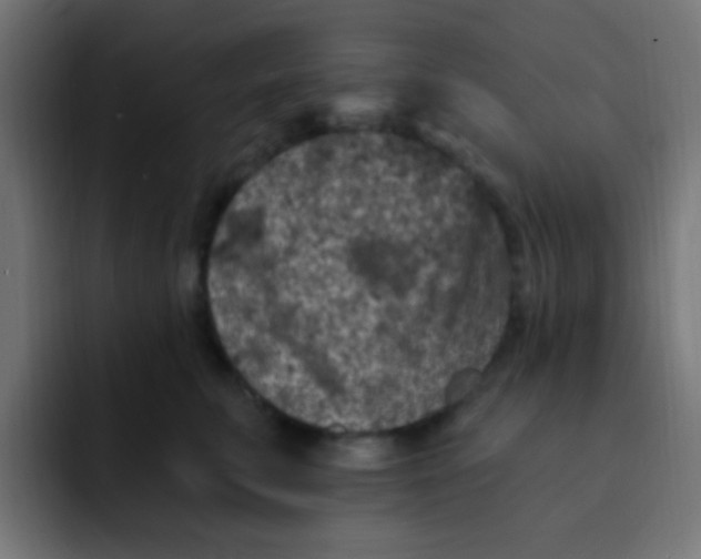 X0000092030711200710041101