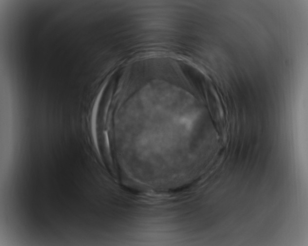 X0000092030712200710041101