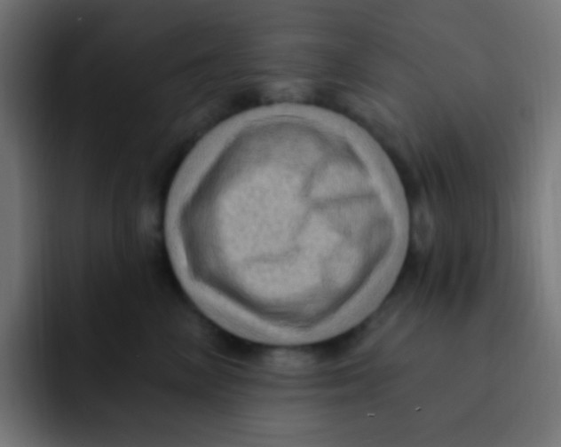 X0000092030714200710041101