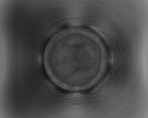 X0000092030715200710041101