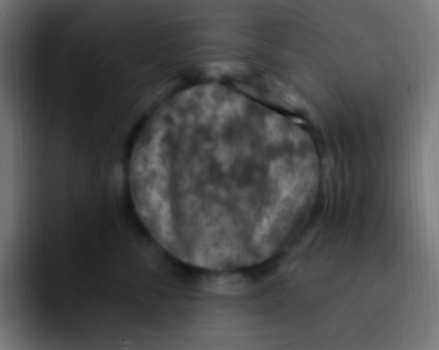 X0000092030716200710041101