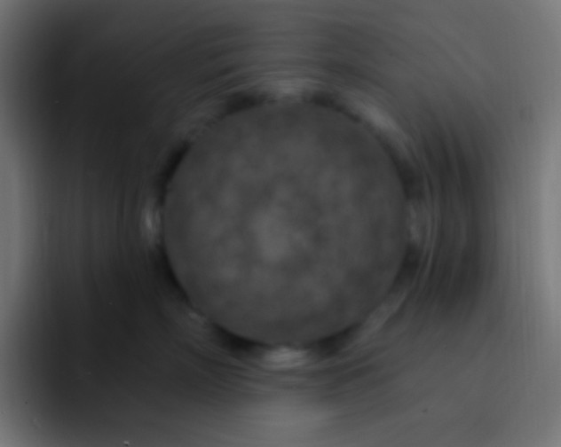 X0000092030718200710041101