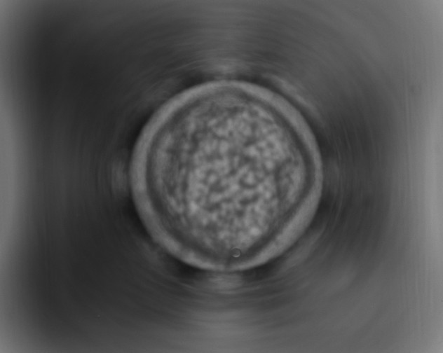 X0000092030719200710041101