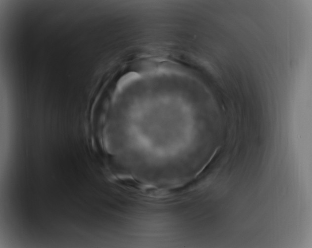 X0000092030720200710041101