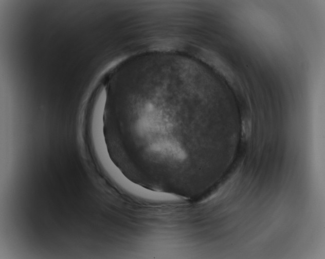 X0000092030724200710041101