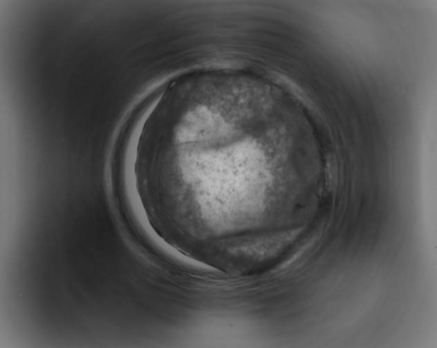 X0000092030726200710041101