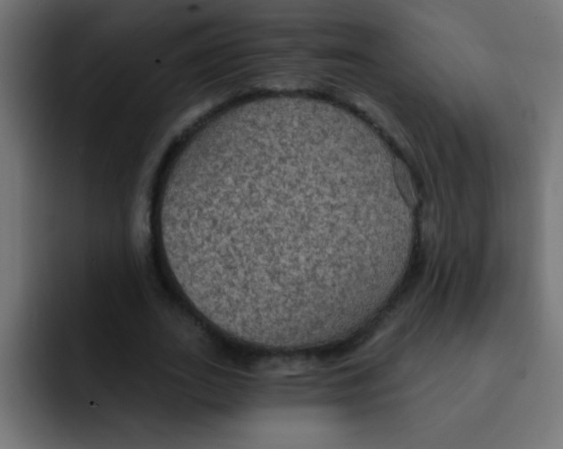 X0000092030727200710041101