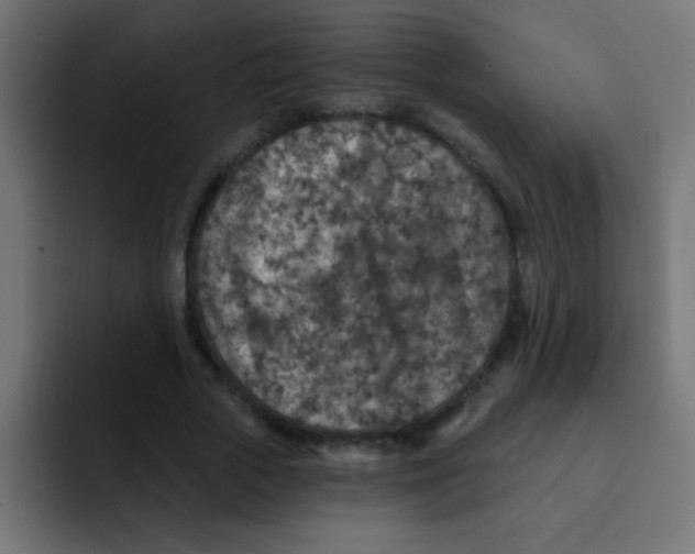 X0000092030729200710041101