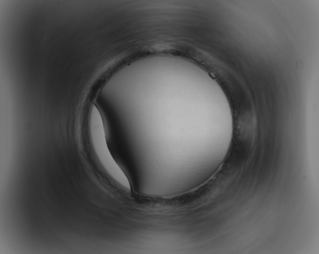 X0000092030732200710041101