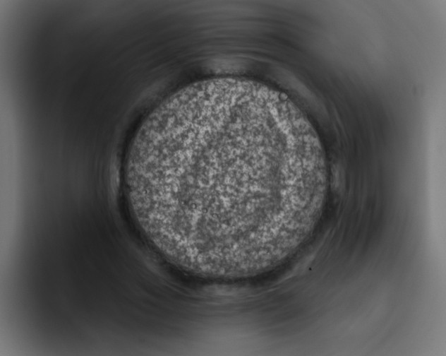 X0000092030733200710041101