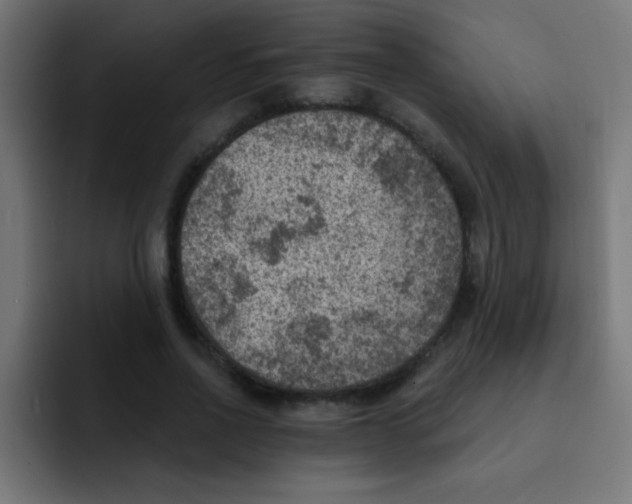 X0000092030734200710041101