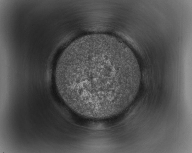 X0000092030735200710041101