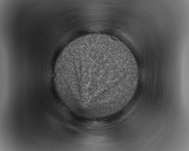 X0000092030737200710041101