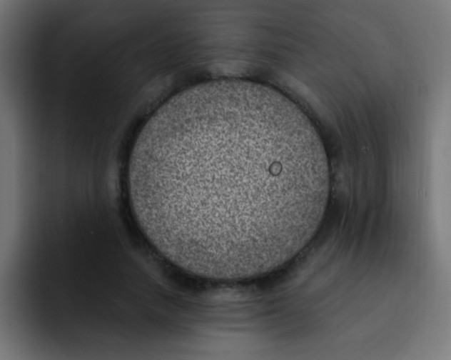 X0000092030738200710041101