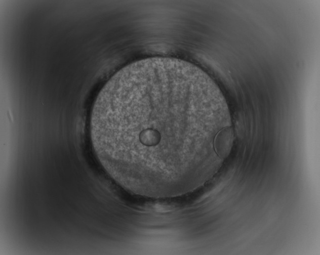 X0000092030739200710041101