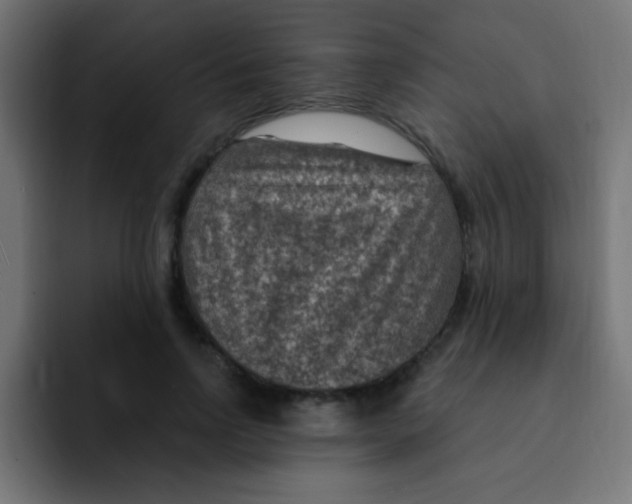 X0000092030742200710041101