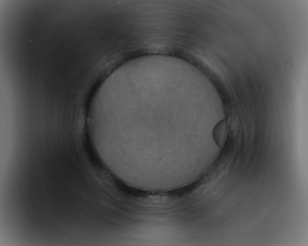 X0000092030744200710041101