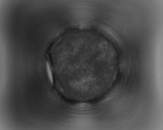 X0000092030748200710041101