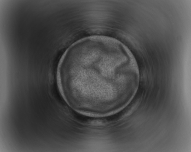 X0000092030751200710041101