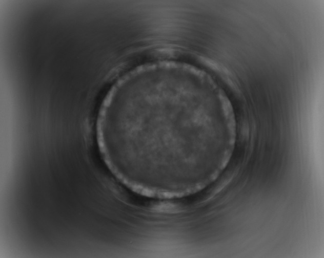 X0000092030759200710041101