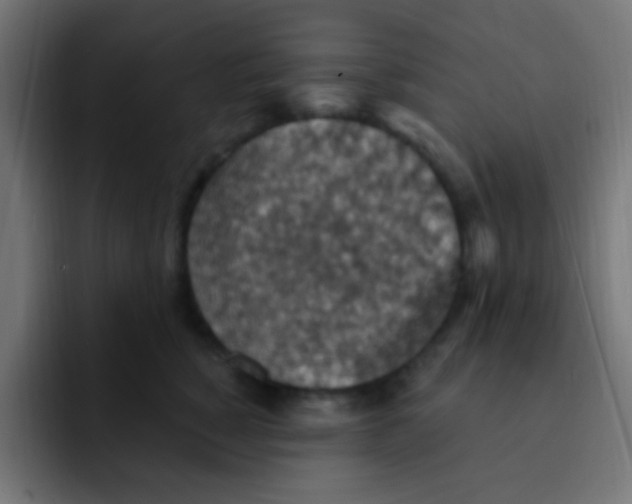 X0000092030760200710041101