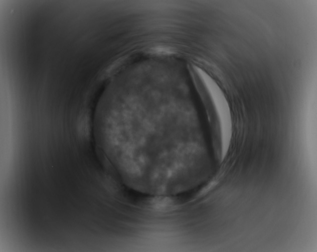 X0000092030762200710041101