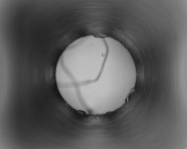 X0000092030764200710041101