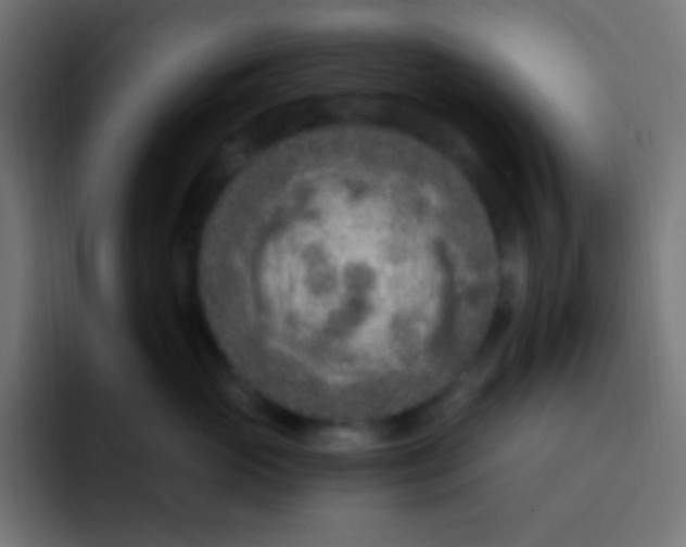 X0000092030765200710041101