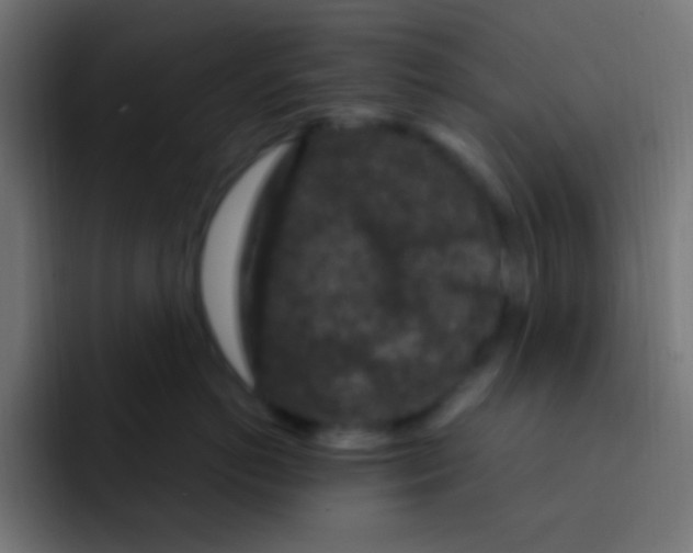 X0000092030766200710041101