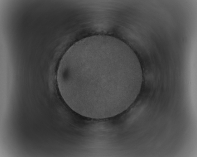 X0000092030769200710041101