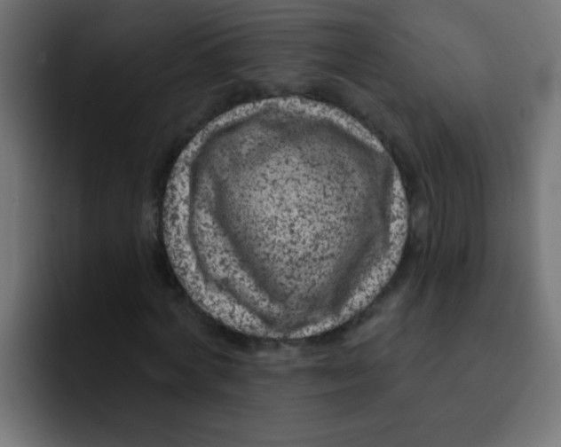 X0000092030772200710041101