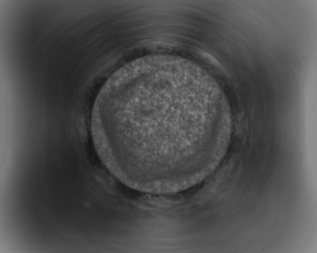 X0000092030774200710041101