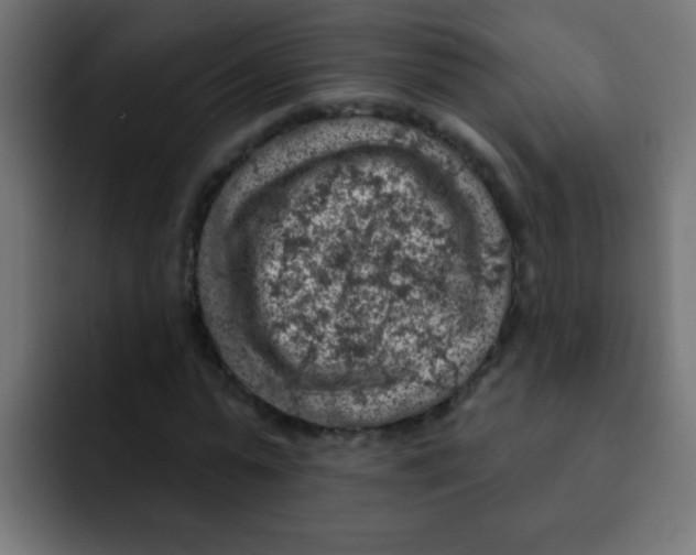 X0000092030775200710041101