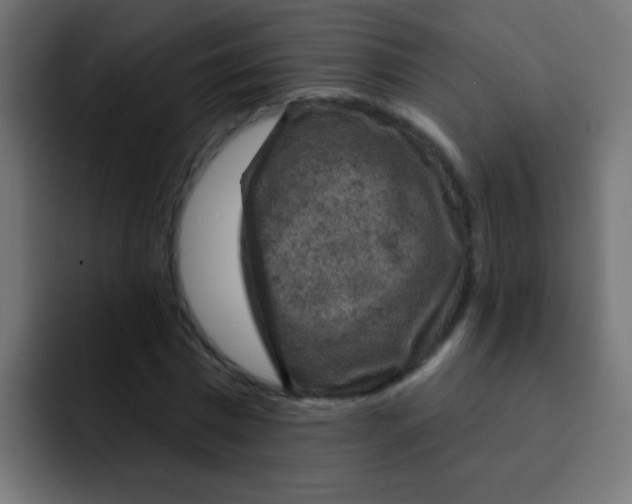 X0000092030777200710041101