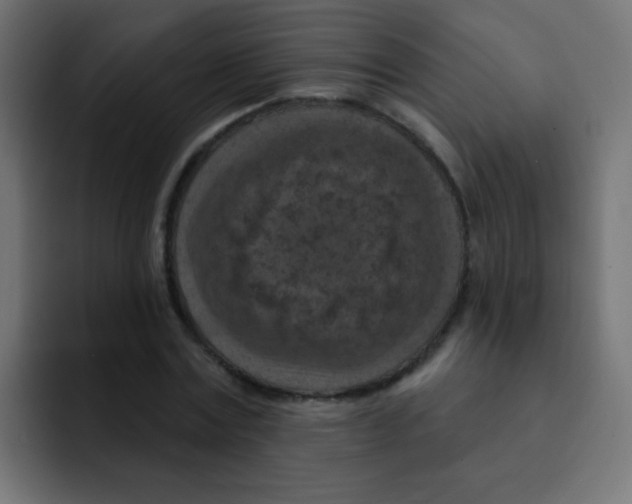 X0000092030779200710041101