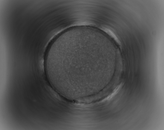 X0000092030781200710041100