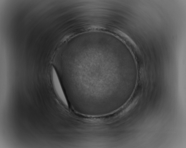 X0000092030785200710041100