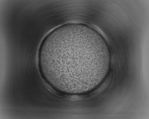 X0000092030787200710041100