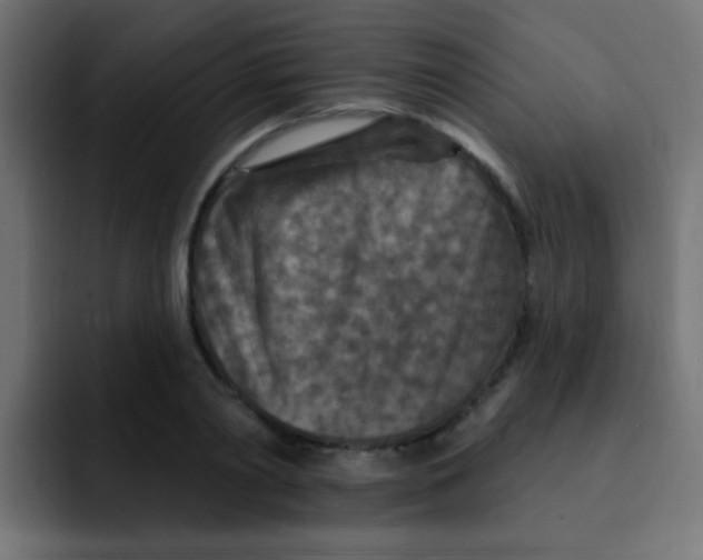 X0000092030790200710041100