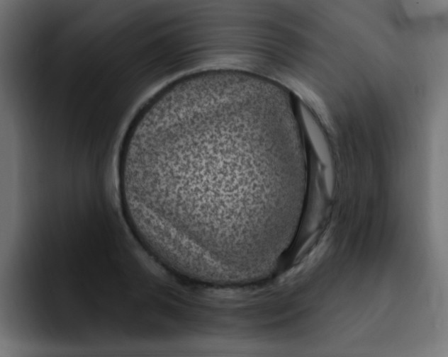 X0000092030792200710041100