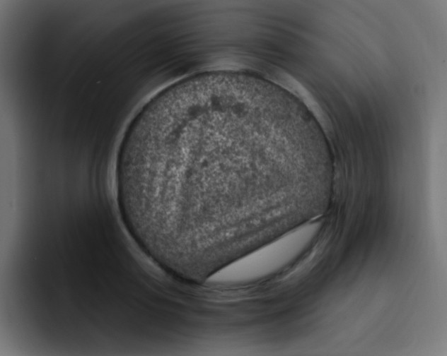 X0000092030795200710041100