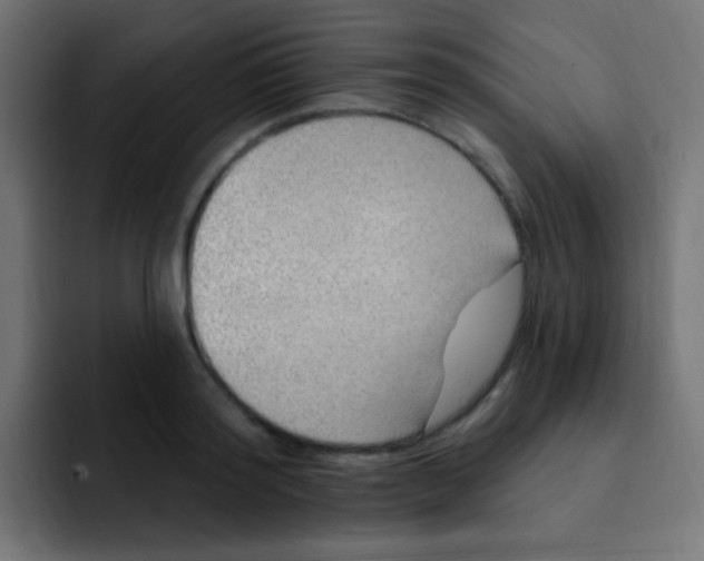 X0000092030796200710041100